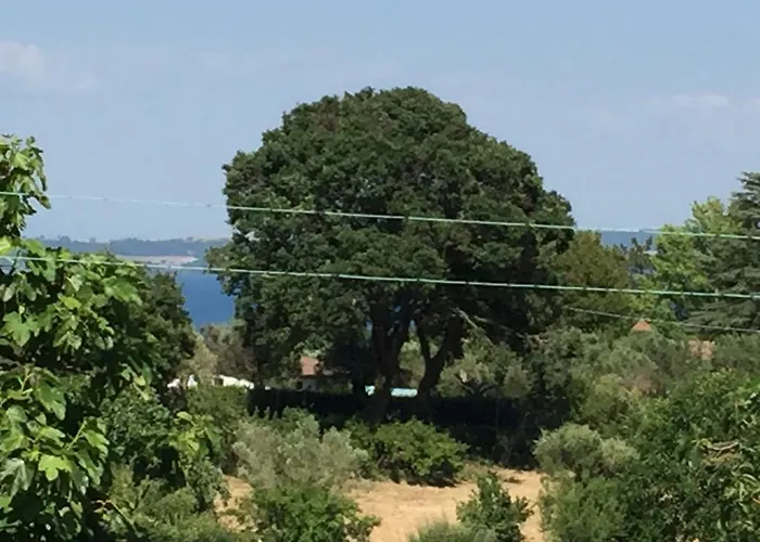 Eco Con Terrazza * Bracciano (Rome)